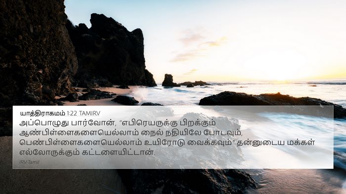 யாத்திராகமம் 1:22 TAMIRV Bible Verse Image