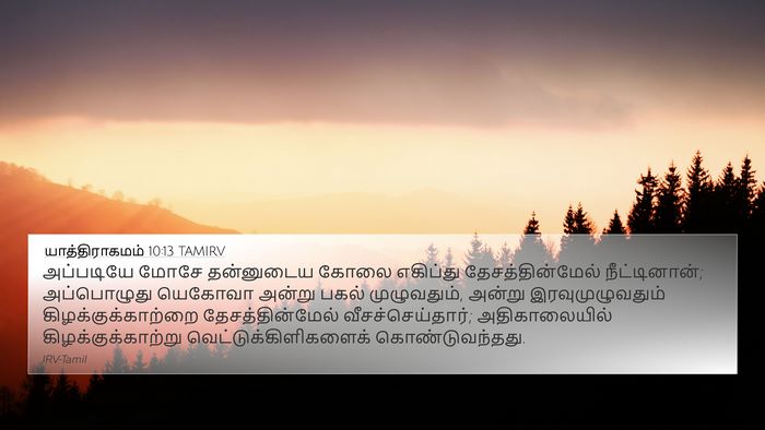 யாத்திராகமம் 10:13 TAMIRV Bible Verse Image