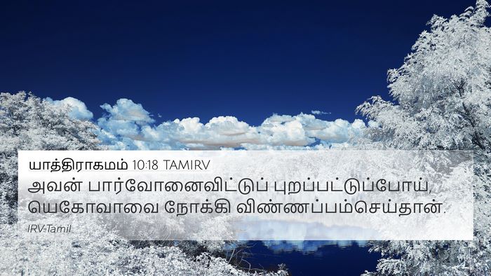 யாத்திராகமம் 10:18 TAMIRV Bible Verse Image