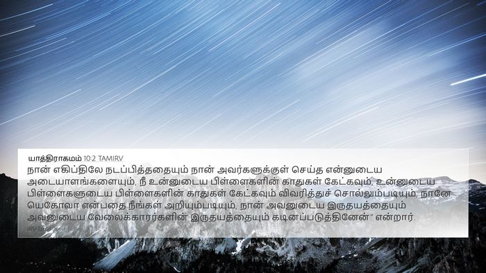 யாத்திராகமம் 10:2 TAMIRV 4K Wallpaper - நான் எகிப்திலே - 4K Wallpaper Bible Verse