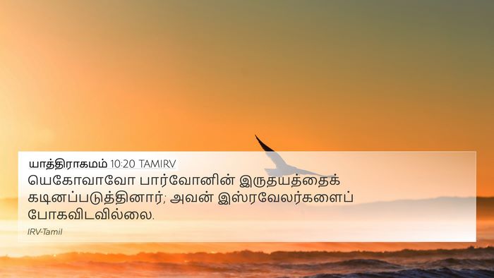யாத்திராகமம் 10:20 TAMIRV Bible Verse Image