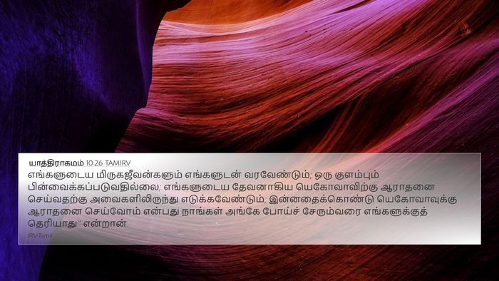 யாத்திராகமம் 10:26 TAMIRV Bible Verse Image
