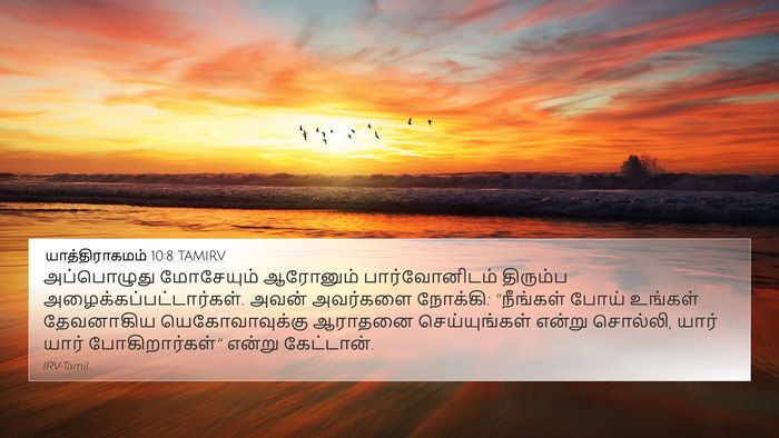 யாத்திராகமம் 10:8 TAMIRV Bible Verse Image