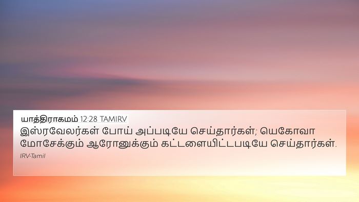 யாத்திராகமம் 12:28 TAMIRV Bible Verse Image