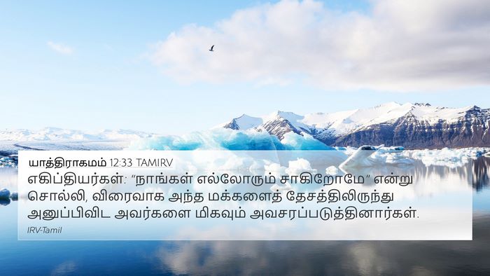 யாத்திராகமம் 12:33 TAMIRV Bible Verse Image