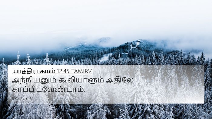 யாத்திராகமம் 12:45 TAMIRV 4K Wallpaper - அந்நியனும் - 4K Wallpaper Bible Verse