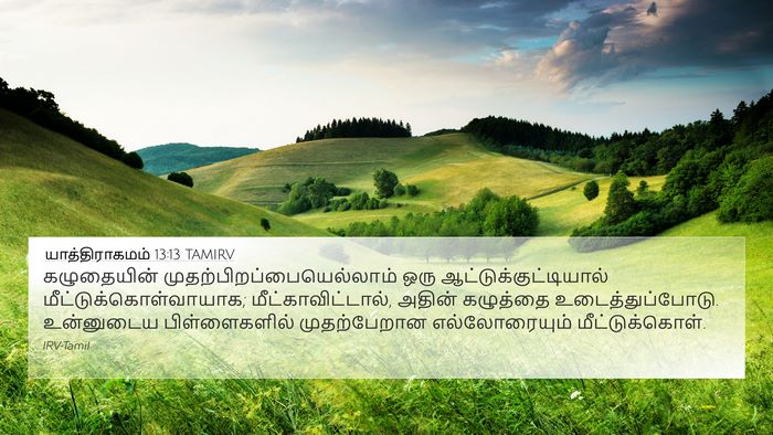 யாத்திராகமம் 13:13 TAMIRV Bible Verse Image