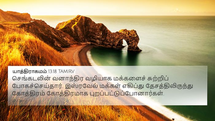 யாத்திராகமம் 13:18 TAMIRV Bible Verse Image