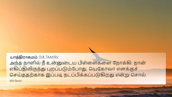 யாத்திராகமம் 13:8 TAMIRV Bible Verse Image