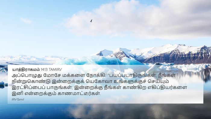 யாத்திராகமம் 14:13 TAMIRV Bible Verse Image