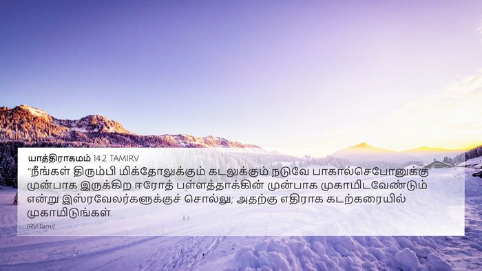 யாத்திராகமம் 14:2 TAMIRV Bible Verse Image