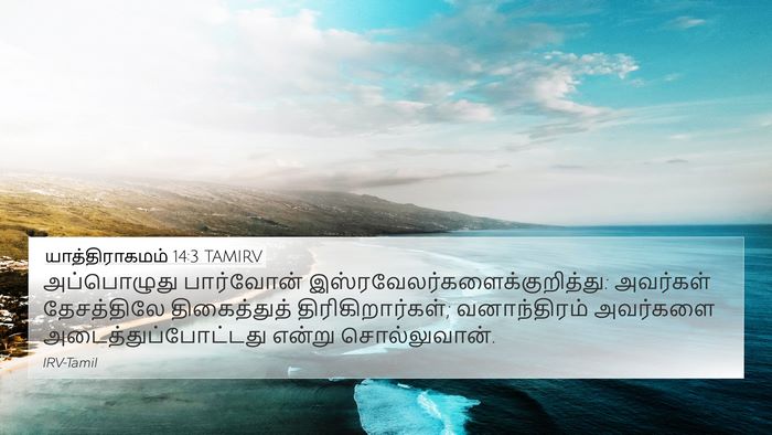 யாத்திராகமம் 14:3 TAMIRV Bible Verse Image