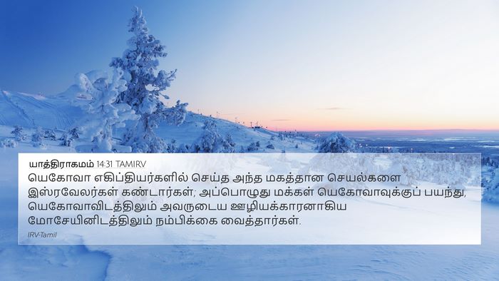 யாத்திராகமம் 14:31 TAMIRV Bible Verse Image