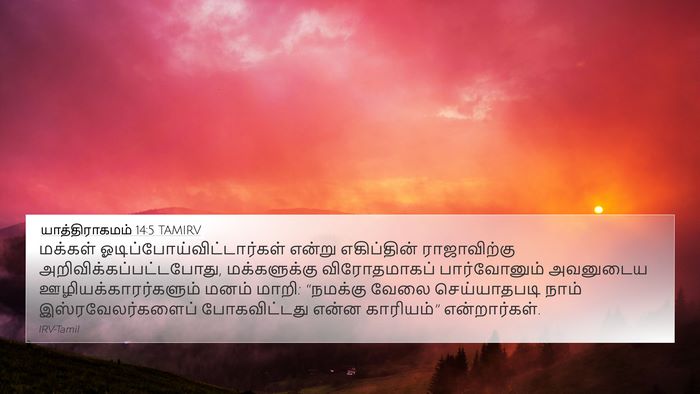 யாத்திராகமம் 14:5 TAMIRV Bible Verse Image