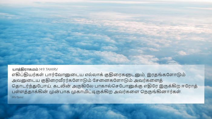 யாத்திராகமம் 14:9 TAMIRV Bible Verse Image