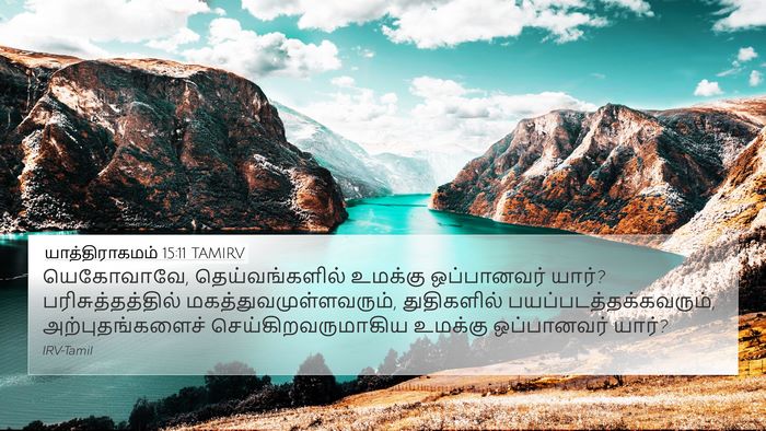 யாத்திராகமம் 15:11 TAMIRV Bible Verse Image