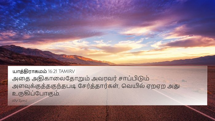 யாத்திராகமம் 16:21 TAMIRV 4K Wallpaper - அதை அதிகாலைதோறும் - 4K Wallpaper Bible Verse