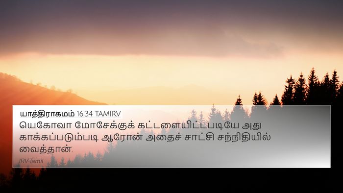 யாத்திராகமம் 16:34 TAMIRV Bible Verse Image
