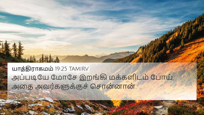 யாத்திராகமம் 19:25 TAMIRV 4K Wallpaper - அப்படியே மோசே - 4K Wallpaper Bible Verse
