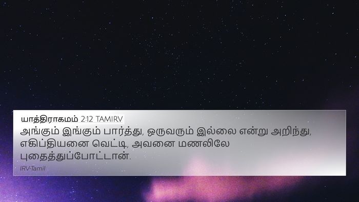 யாத்திராகமம் 2:12 TAMIRV 4K Wallpaper - அங்கும் இங்கும் - 4K Wallpaper Bible Verse