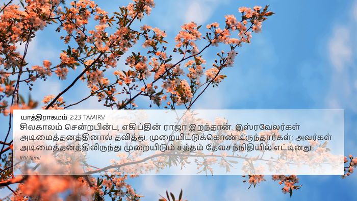 யாத்திராகமம் 2:23 TAMIRV Bible Verse Image