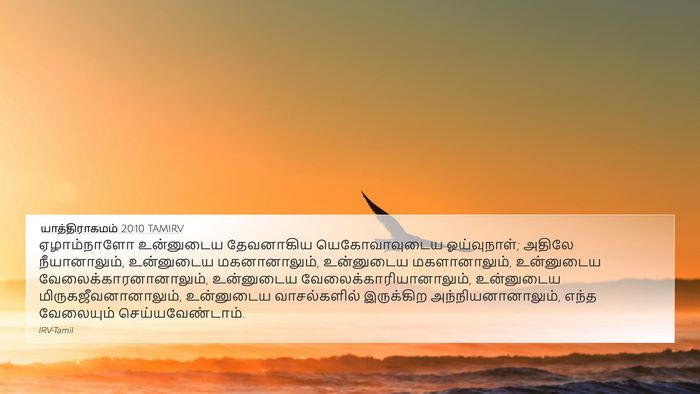 யாத்திராகமம் 20:10 TAMIRV Bible Verse Image