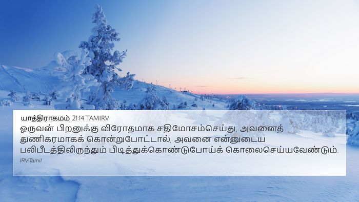 யாத்திராகமம் 21:14 TAMIRV Bible Verse Image