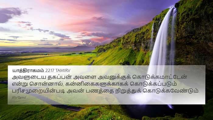 யாத்திராகமம் 22:17 TAMIRV Bible Verse Image