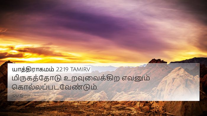யாத்திராகமம் 22:19 TAMIRV Bible Verse Image