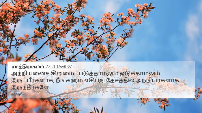 யாத்திராகமம் 22:21 TAMIRV Bible Verse Image