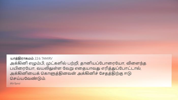 யாத்திராகமம் 22:6 TAMIRV Bible Verse Image
