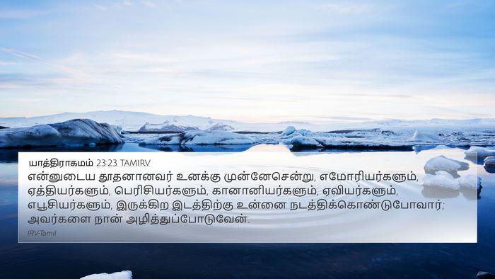 யாத்திராகமம் 23:23 TAMIRV Bible Verse Image