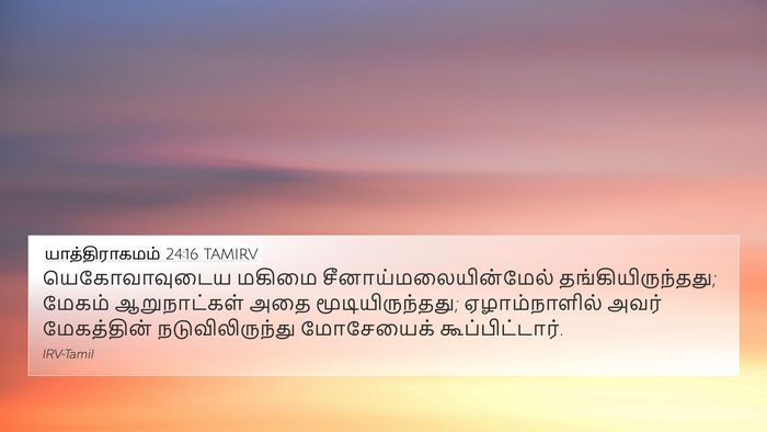 யாத்திராகமம் 24:16 TAMIRV Bible Verse Image