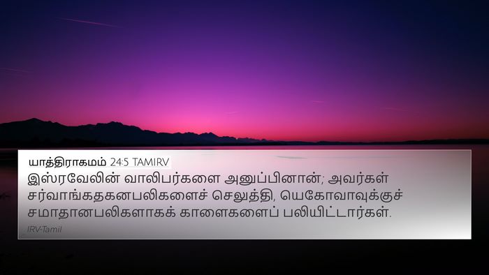 யாத்திராகமம் 24:5 TAMIRV Bible Verse Image