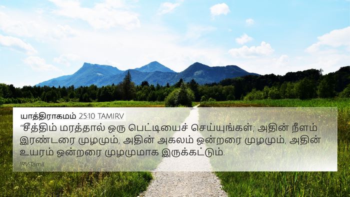 யாத்திராகமம் 25:10 TAMIRV Bible Verse Image