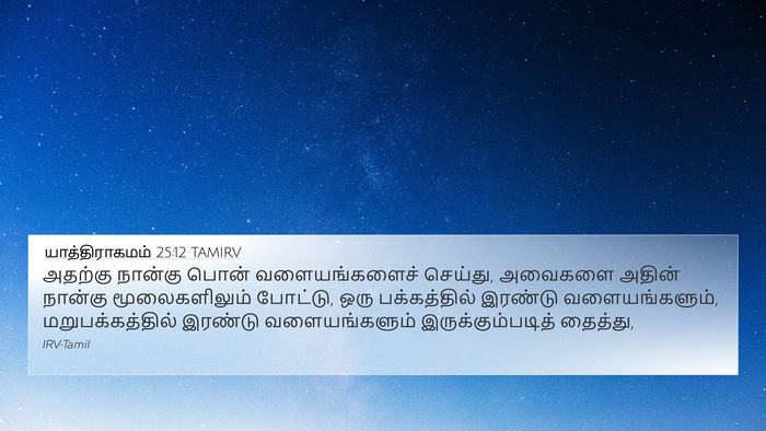 யாத்திராகமம் 25:12 TAMIRV Bible Verse Image