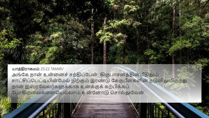 யாத்திராகமம் 25:22 TAMIRV Bible Verse Image