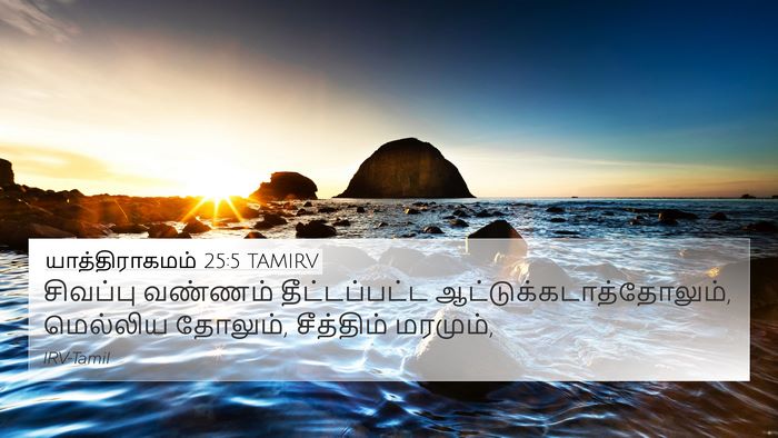 யாத்திராகமம் 25:5 TAMIRV Bible Verse Image