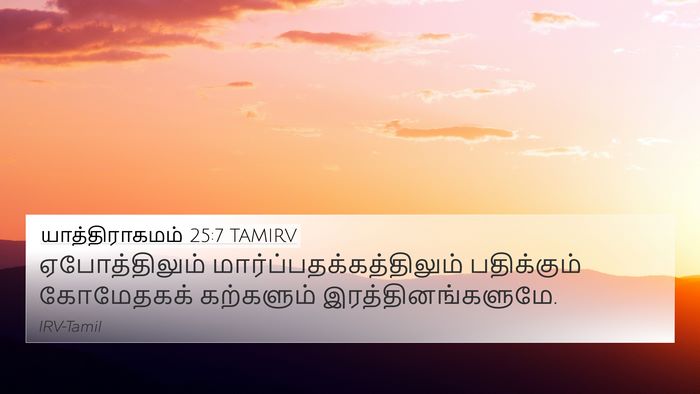 யாத்திராகமம் 25:7 TAMIRV Bible Verse Image