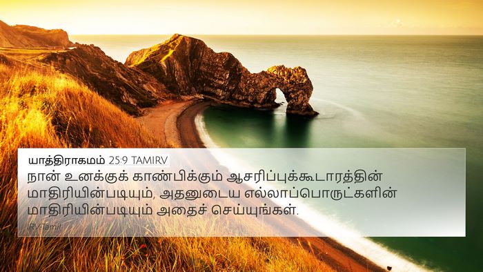 யாத்திராகமம் 25:9 TAMIRV Bible Verse Image