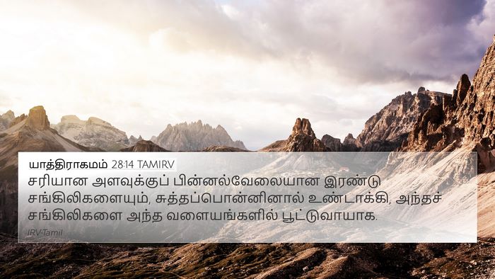 யாத்திராகமம் 28:14 TAMIRV Bible Verse Image