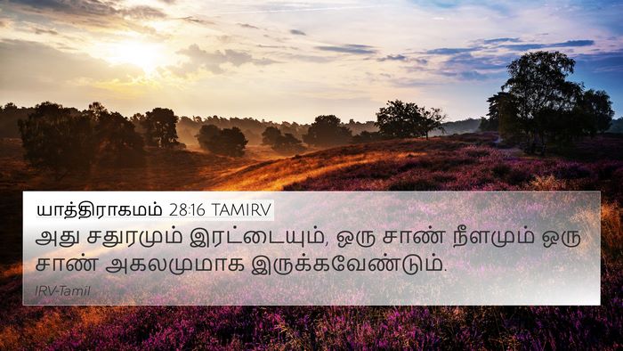 யாத்திராகமம் 28:16 TAMIRV Bible Verse Image