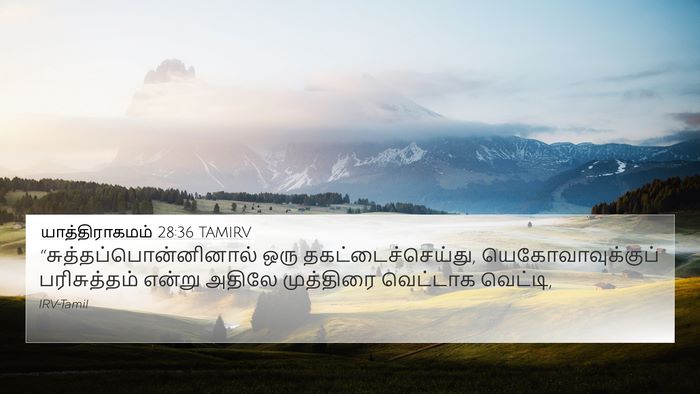 யாத்திராகமம் 28:36 TAMIRV Bible Verse Image