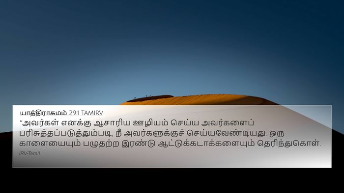 யாத்திராகமம் 29:1 TAMIRV Bible Verse Image