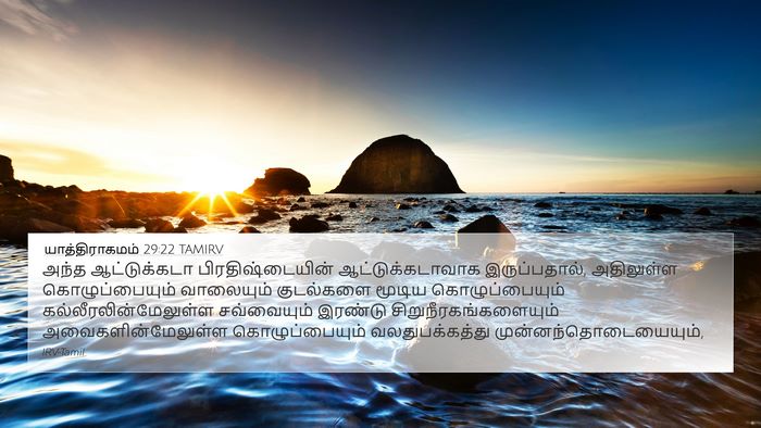 யாத்திராகமம் 29:22 TAMIRV Bible Verse Image