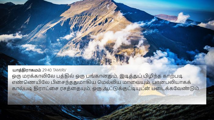 யாத்திராகமம் 29:40 TAMIRV Bible Verse Image