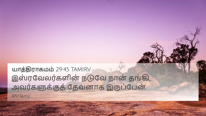 யாத்திராகமம் 29:45 TAMIRV Bible Verse Image