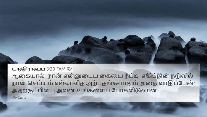 யாத்திராகமம் 3:20 TAMIRV Bible Verse Image