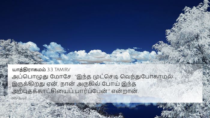 யாத்திராகமம் 3:3 TAMIRV Bible Verse Image