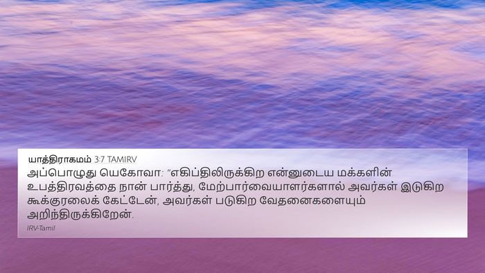 யாத்திராகமம் 3:7 TAMIRV Bible Verse Image
